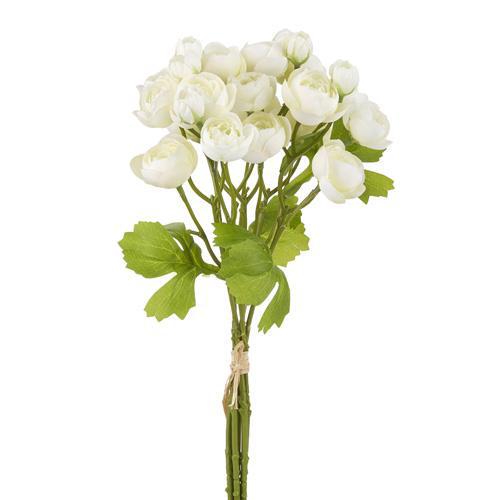 White Ranunculus Bundle-Raz-Lasting Impressions