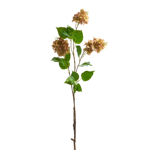 Raz Imports Dried Hydrangea Branch