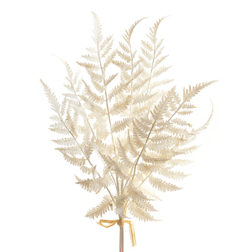 Raz Imports Soft Touch White Fern Bundle