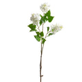 Hydrangea Spray