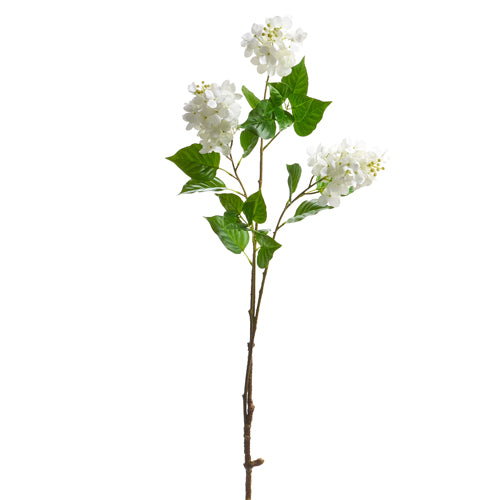 Hydrangea Spray