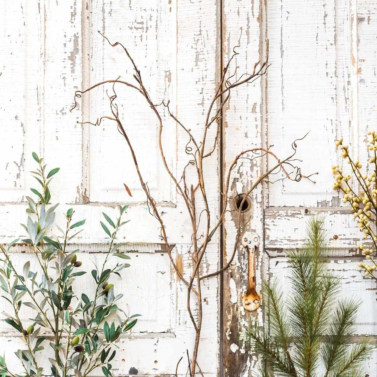 Willow Branch-Park Hill-Lasting Impressions