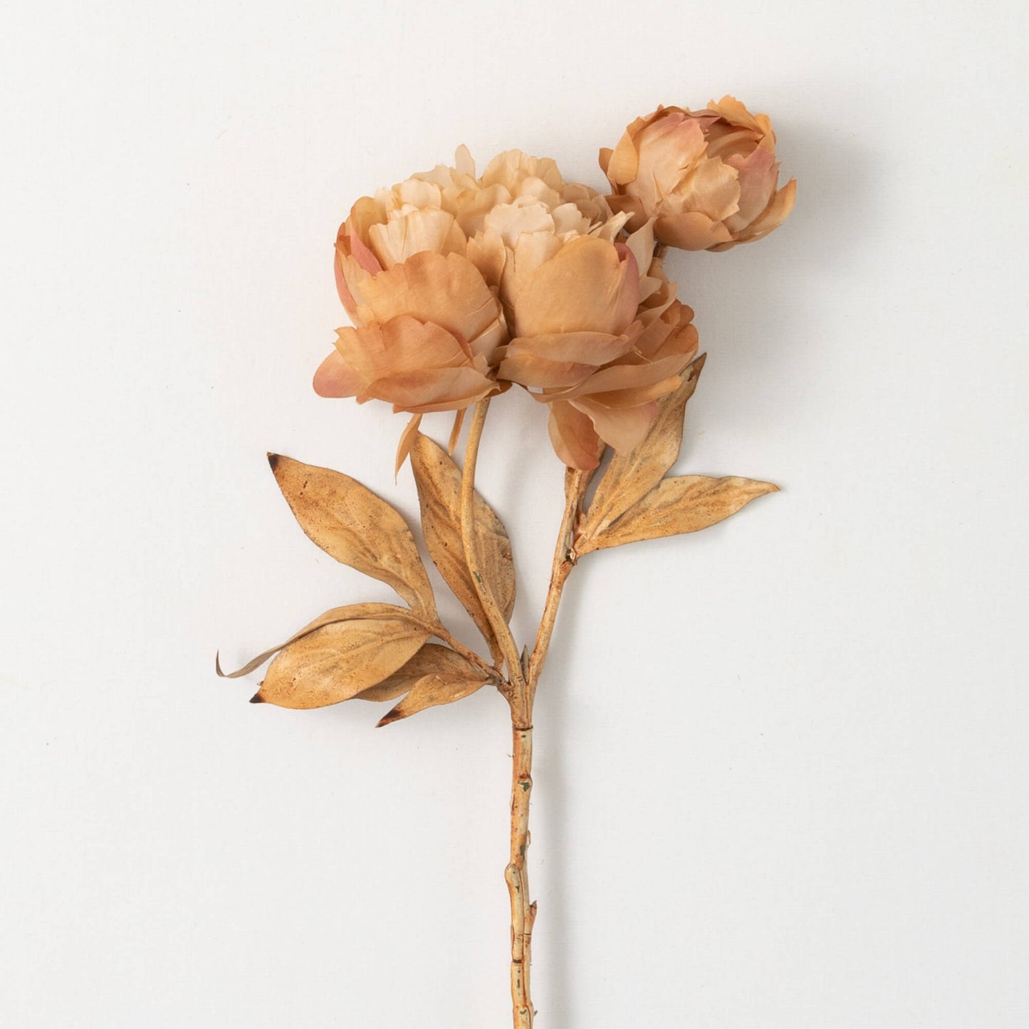 Blooming Peony Spray, Brown Sugar