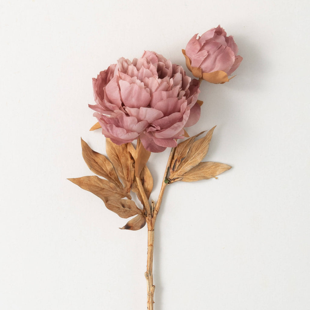 Blooming Peony Spray, Blush Pink