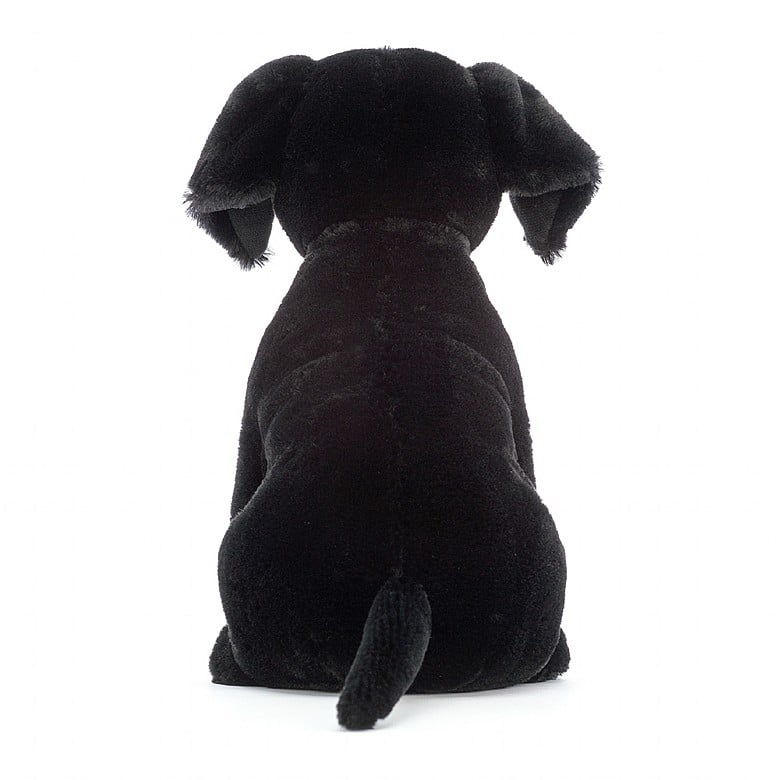 Pippa Black Labrador