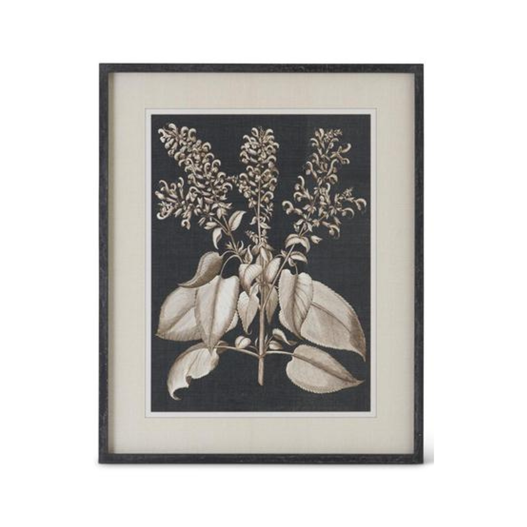 Black & White Framed Olive Prints