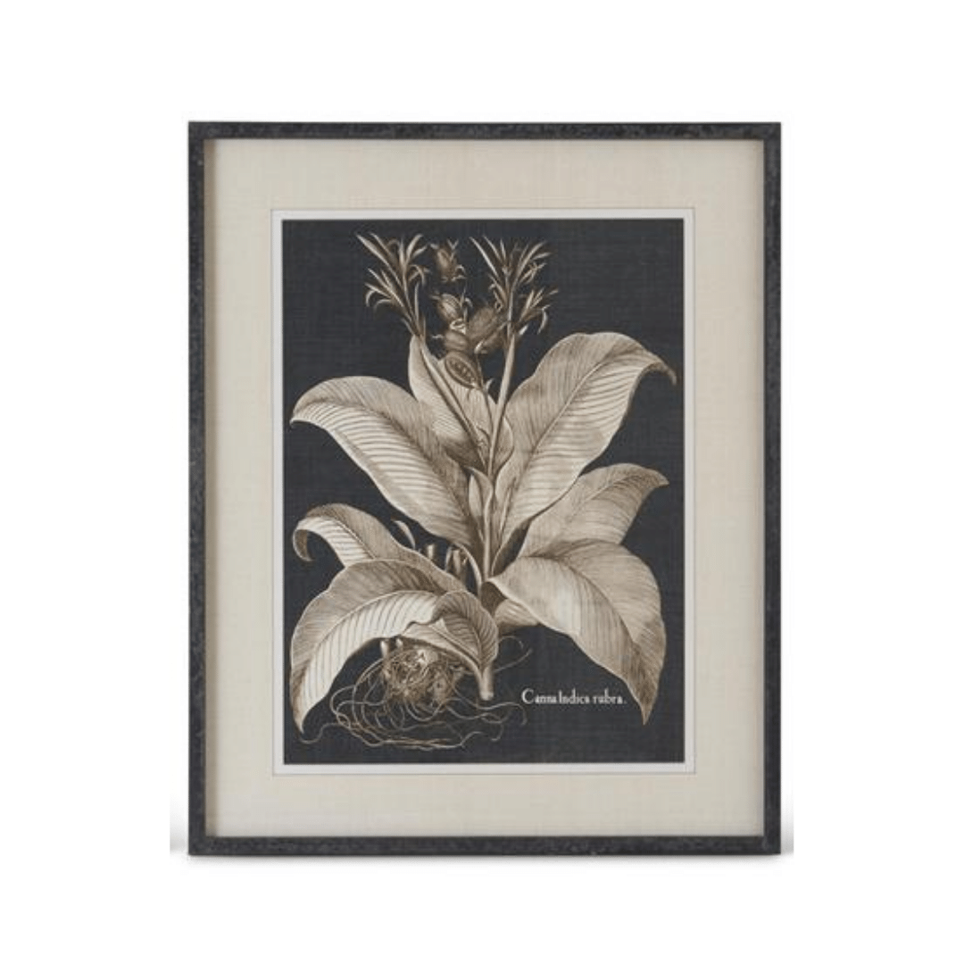 Black & White Framed Olive Prints