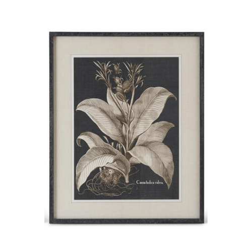 Black & White Framed Olive Prints