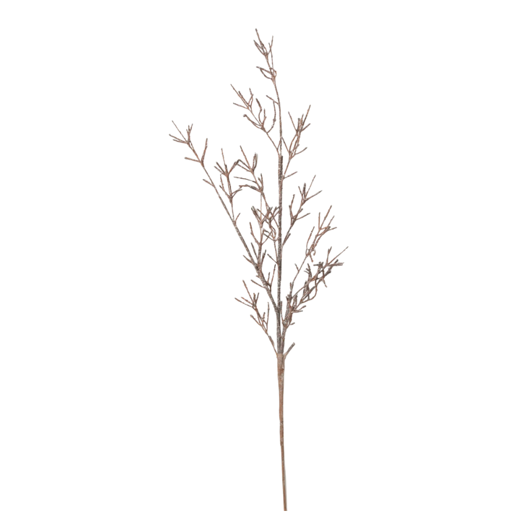Dry Old Branch Set