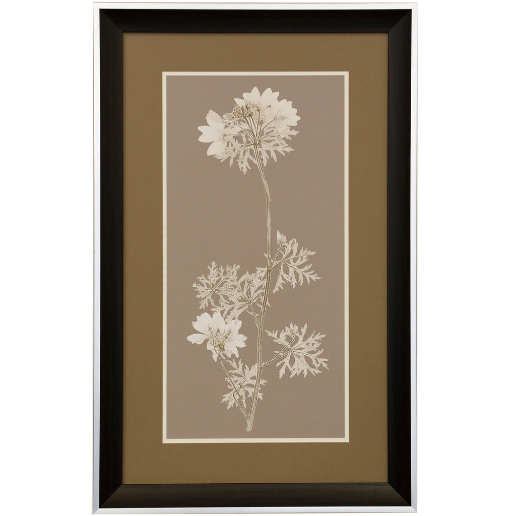 Kason Framed Prints