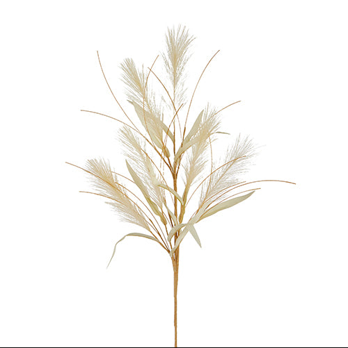 Dried Grass Spray