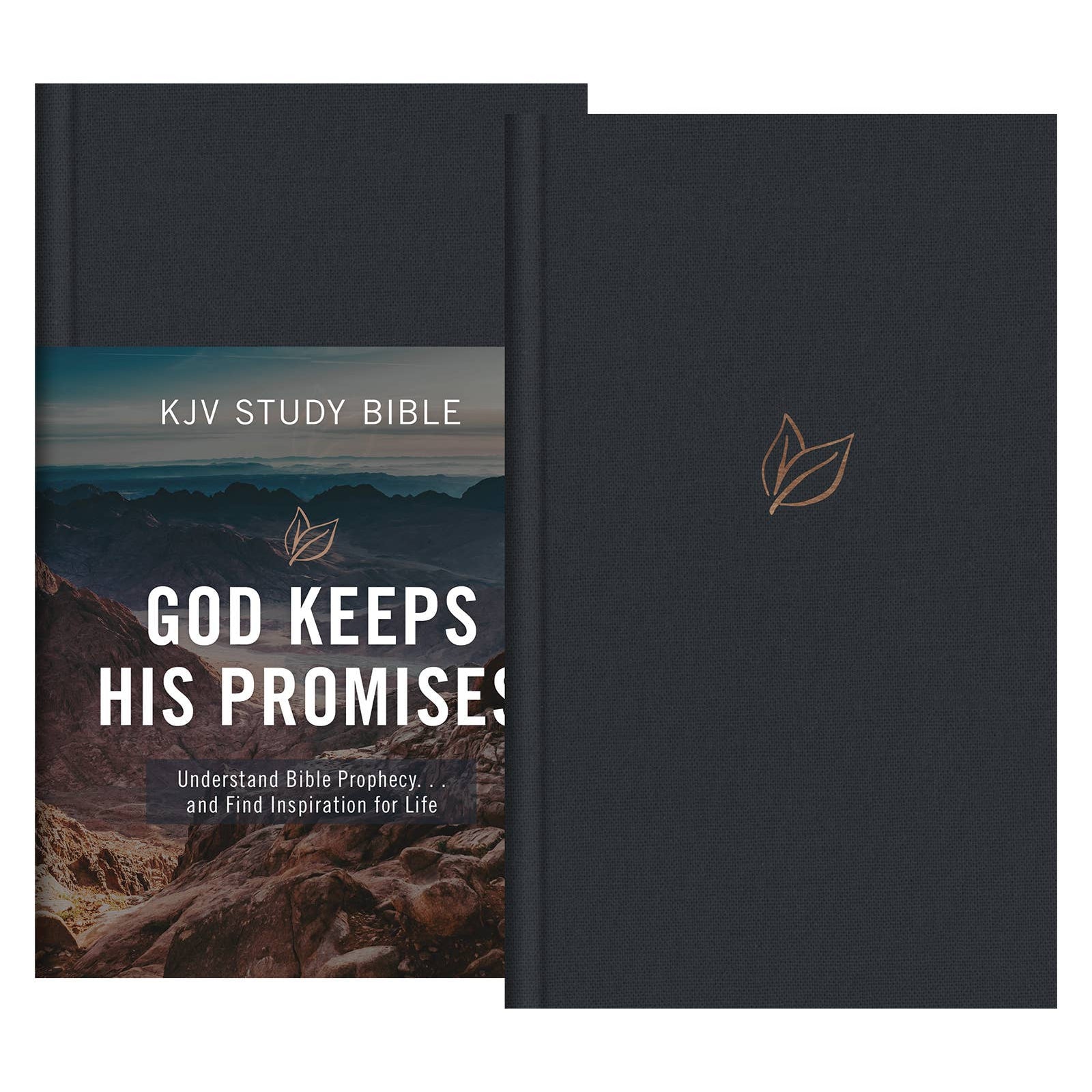 The God Keeps His Promises KJV Study Bible [Slate Leaf]