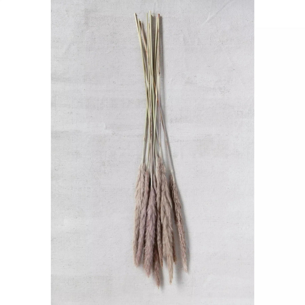 Dried Natural Fountain Grass Bunch