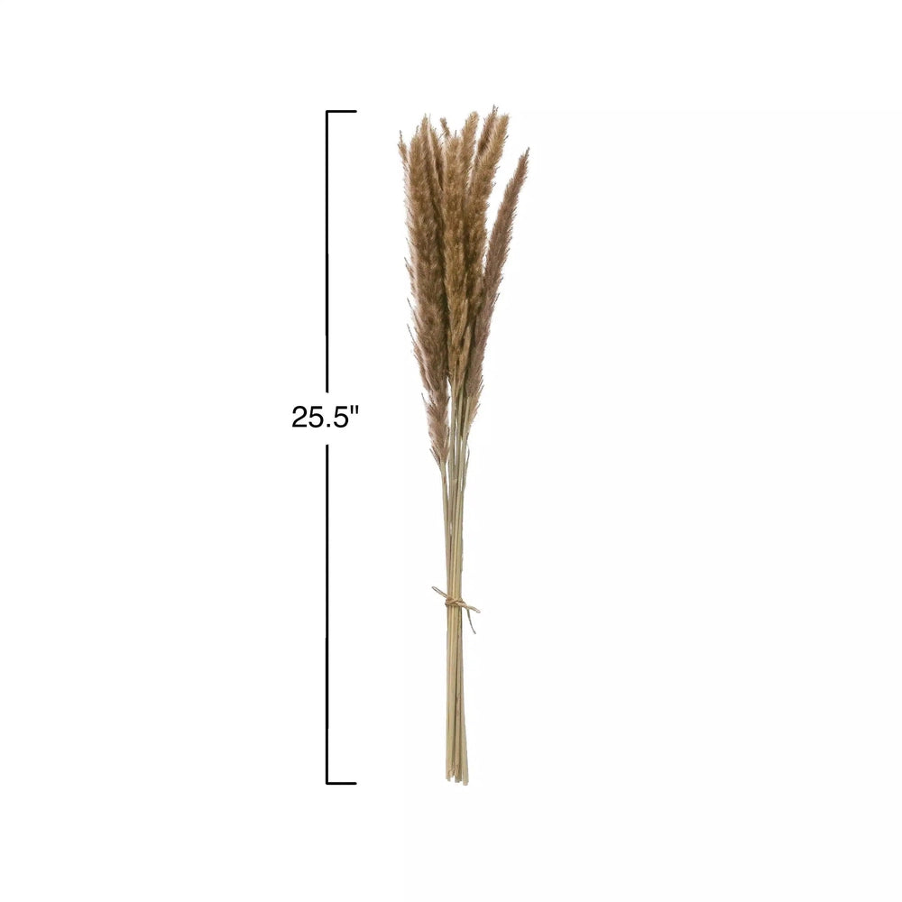 Dried Natural Fountain Grass Bunch