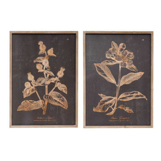 Wall Decor with Botanical Print, 2 Styles