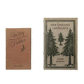Book Storage Boxes, Set of 2