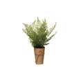 Faux Fern in Paper Wrapped Pot, 2 Styles