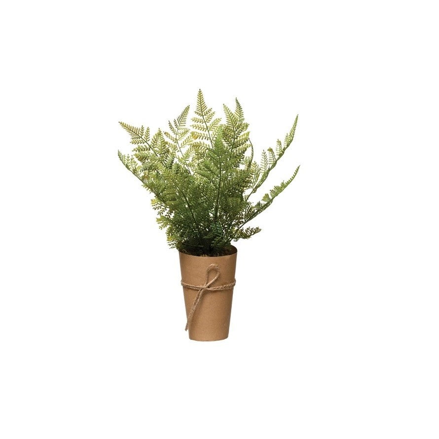 Faux Fern in Paper Wrapped Pot, 2 Styles