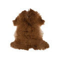 Two-Tone New Zealand Lamb Fur Rug, Brown