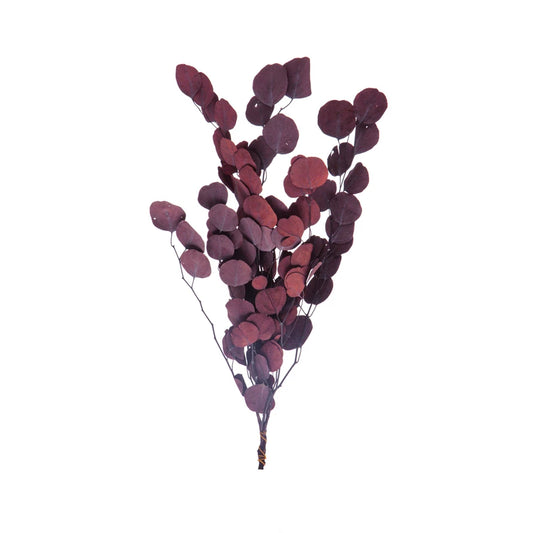 Dried Natural Eucalyptus Bunch, Aubergine Color