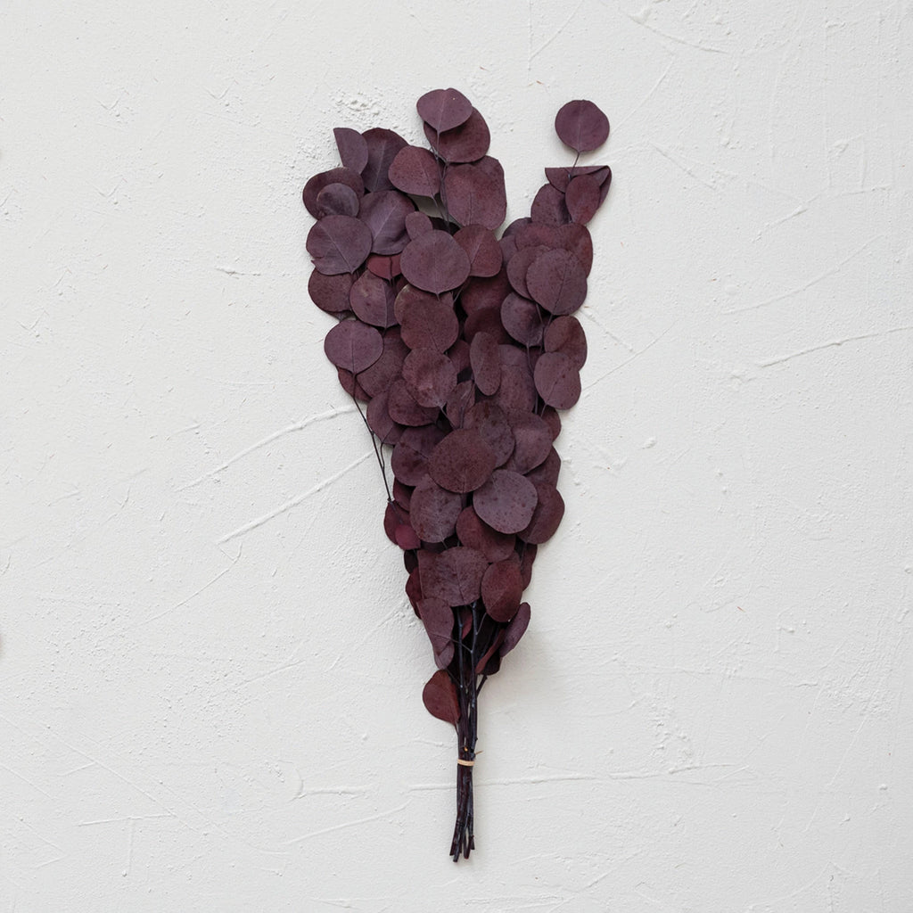 Dried Natural Eucalyptus Bunch, Aubergine Color