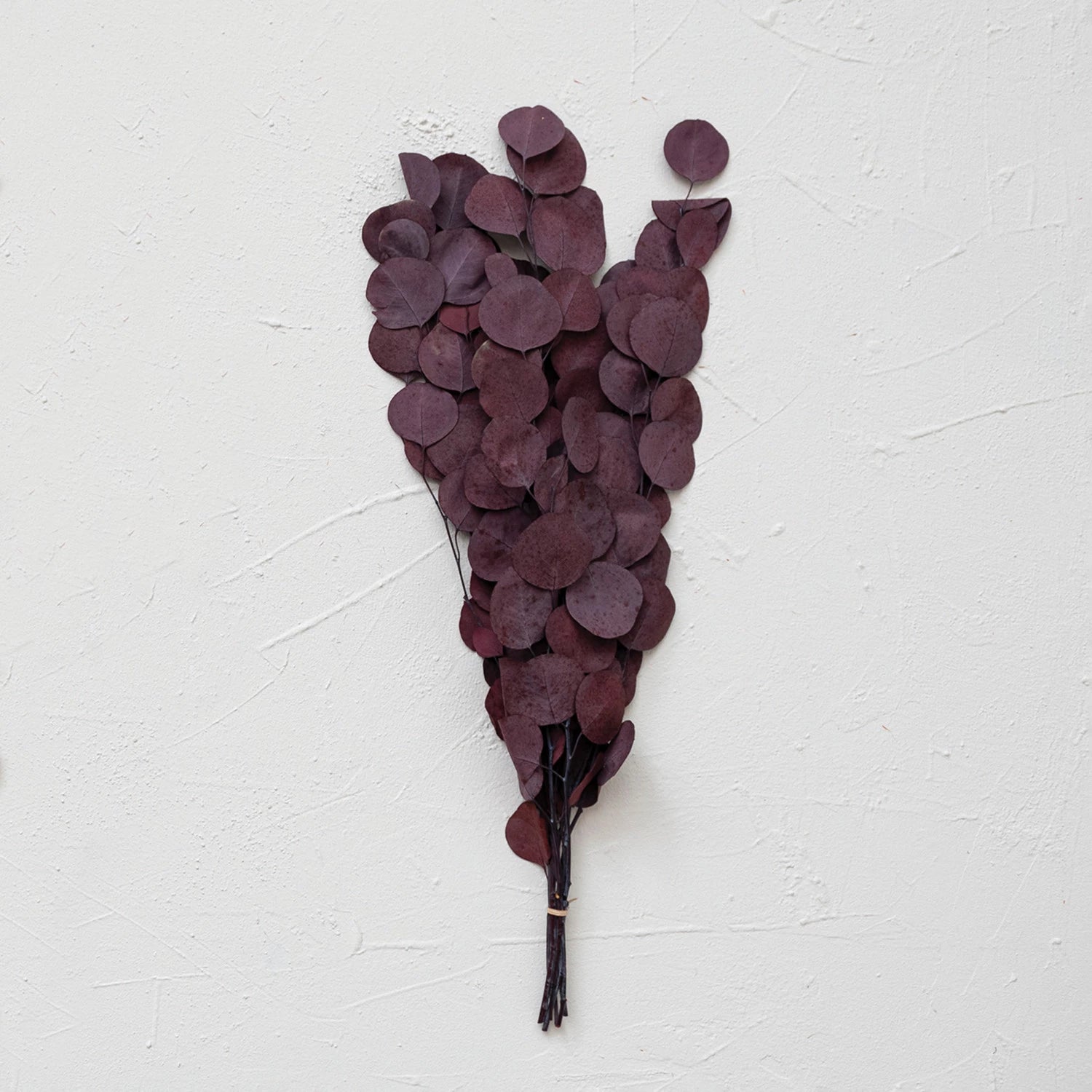 Dried Natural Eucalyptus Bunch, Aubergine Color