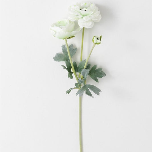 Real Garden Ranunculus Stems-Sullivan's-Lasting Impressions