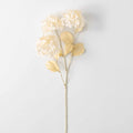 Hydrangea Stem