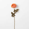 Calista Rose Stem
