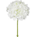 White Hydrangea Stems-Sullivan's-Lasting Impressions