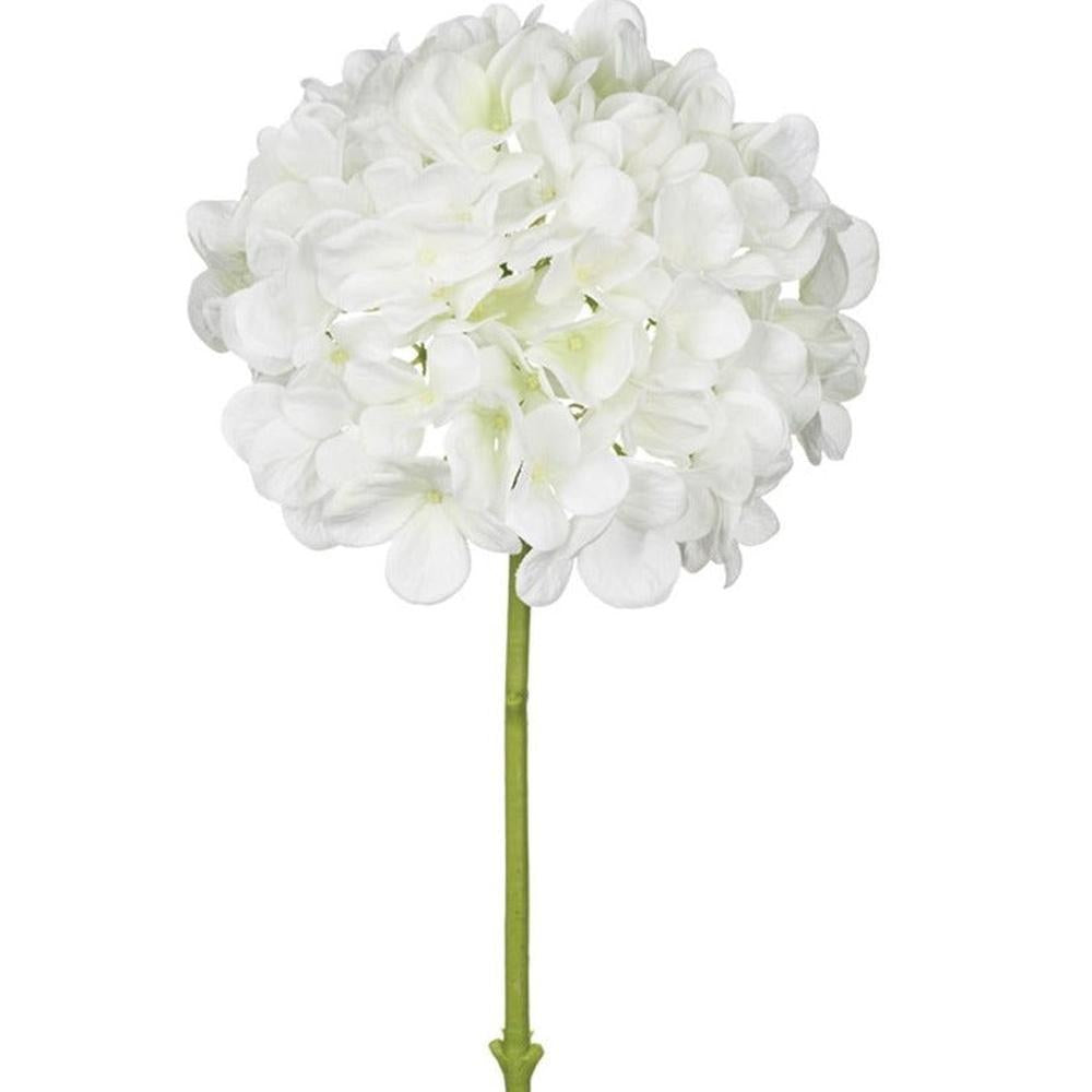 White Hydrangea Stems-Sullivan's-Lasting Impressions