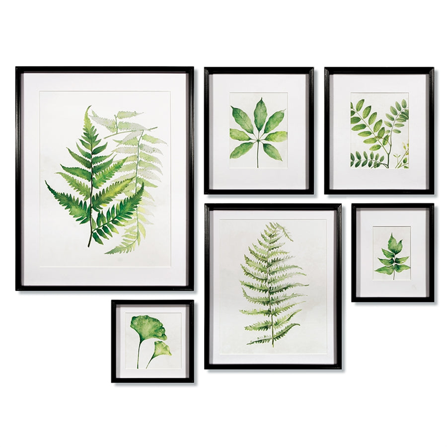 LEAF STUDY WATERCOLOR GALLERY, SET OF 6-Napa-Lasting Impressions