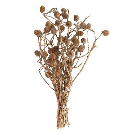 Dried Bora Bouquet