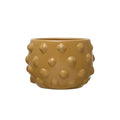 Terra-cotta Planter w/ Raised Dots
