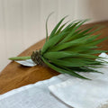 Succulents Short Stems