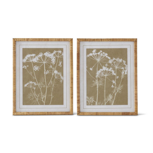 Queen Anne Lace Prints w/Rattan Wrapped Frames