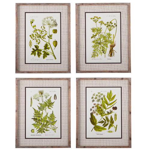 Botanical Framed Prints-Raz-Lasting Impressions