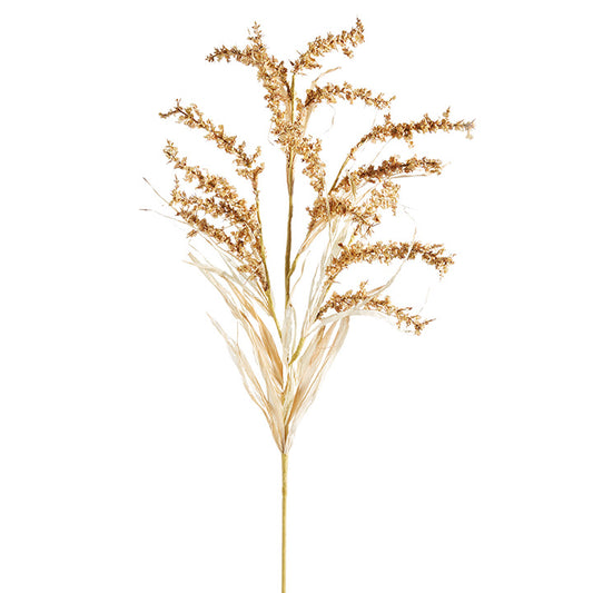 Dried Grass Spray