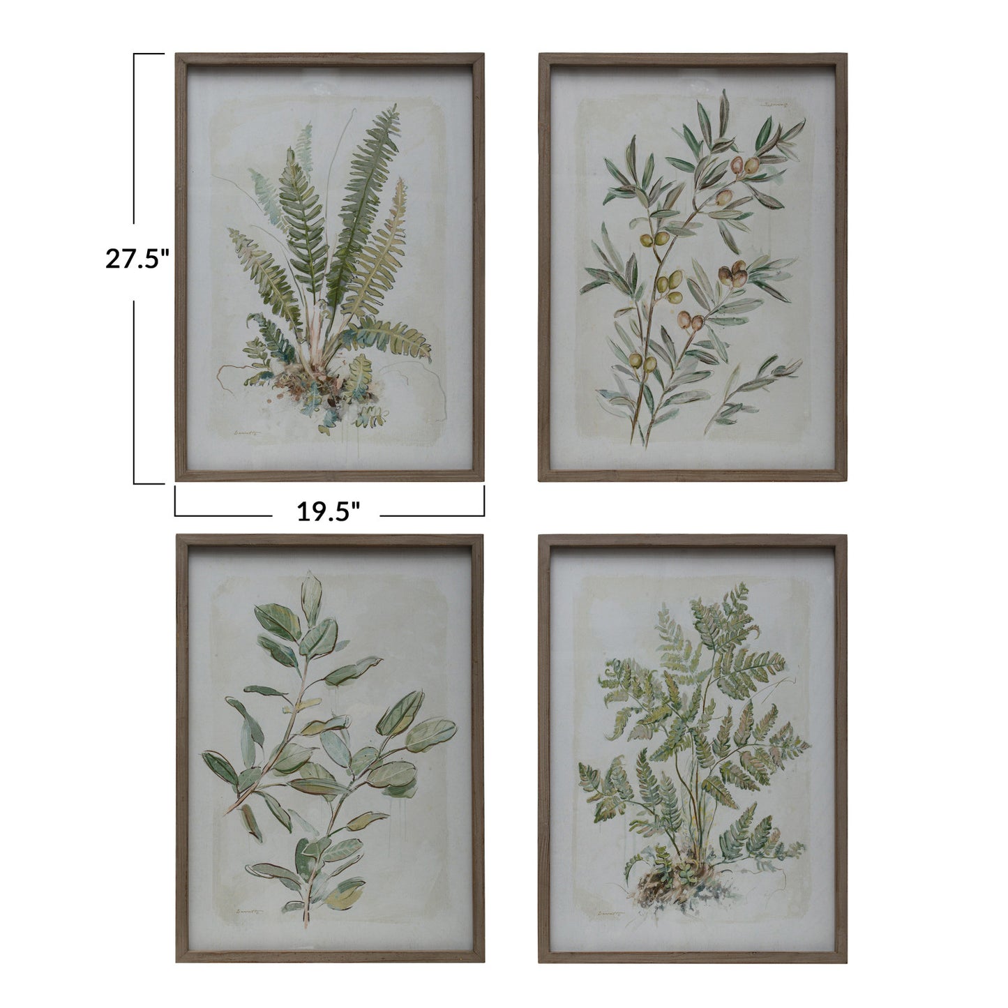 Wood Framed Glass Wall Décor w/ Botanical Print, 4 Styles