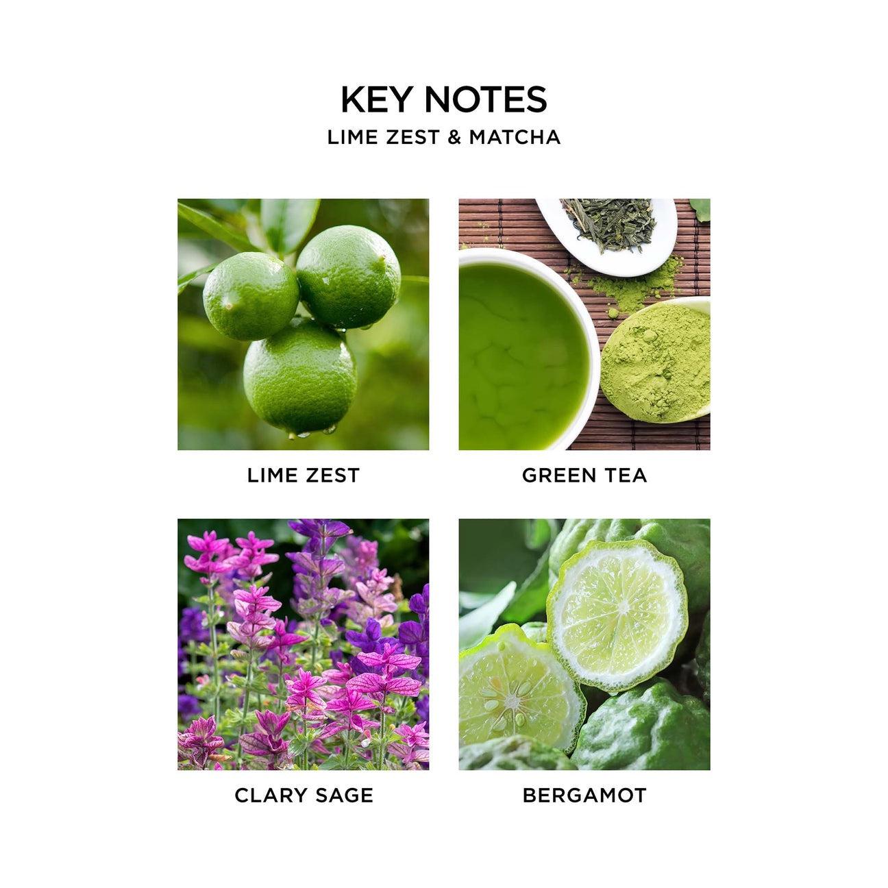 Liquid Hand Soap, Lime Zest & Matcha