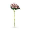 Garden Hydrangea Stem