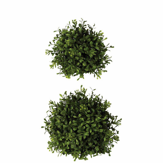 Boxwood ORB-Sullivan's-Lasting Impressions