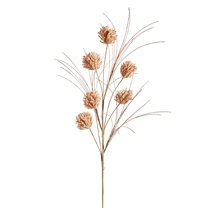 Dried Pom Pom Spray
