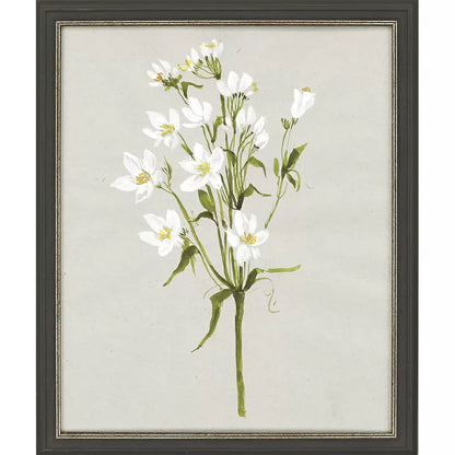 White Field Flowers Prints