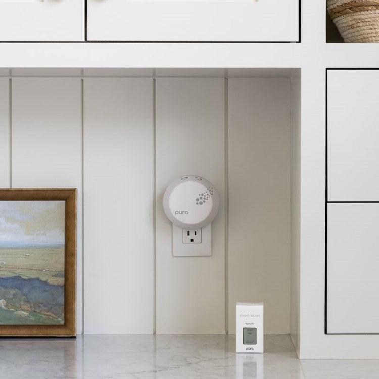 Wild Sage (Studio Mcgee)